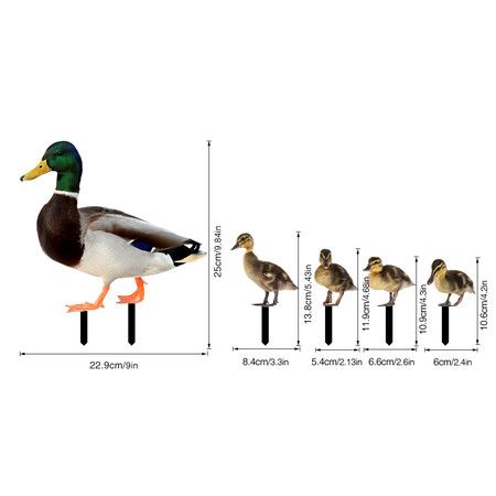 https://img.bestdeals.co.nz/products_pictures/625/62508_586775_F.jpg