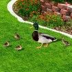 5pcs Yard Art Acrylic Outdoor Duck Decorations, Outdoor Garden Ornaments Poultry Art for Backyard, Lawn, Pathway, Lawn, Garden Decoration