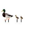 5pcs Yard Art Acrylic Outdoor Duck Decorations, Outdoor Garden Ornaments Poultry Art for Backyard, Lawn, Pathway, Lawn, Garden Decoration