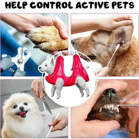 https://img.bestdeals.co.nz/products_pictures/625/62589_587999_F.jpg