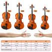1/2 Acoustic Violin Kit 4 Strings Natural Varnish Finish w Case Bow Rosin Melodic
