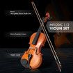 1/2 Acoustic Violin Kit 4 Strings Natural Varnish Finish w Case Bow Rosin Melodic