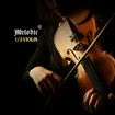 1/2 Acoustic Violin Kit 4 Strings Natural Varnish Finish w Case Bow Rosin Melodic