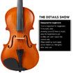 1/2 Acoustic Violin Kit 4 Strings Natural Varnish Finish w Case Bow Rosin Melodic