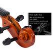 1/2 Acoustic Violin Kit 4 Strings Natural Varnish Finish w Case Bow Rosin Melodic