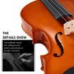 1/2 Acoustic Violin Kit 4 Strings Natural Varnish Finish w Case Bow Rosin Melodic