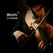 1/4 Acoustic Violin Kit 4 Strings Natural Varnish Finish w Case Bow Melodic