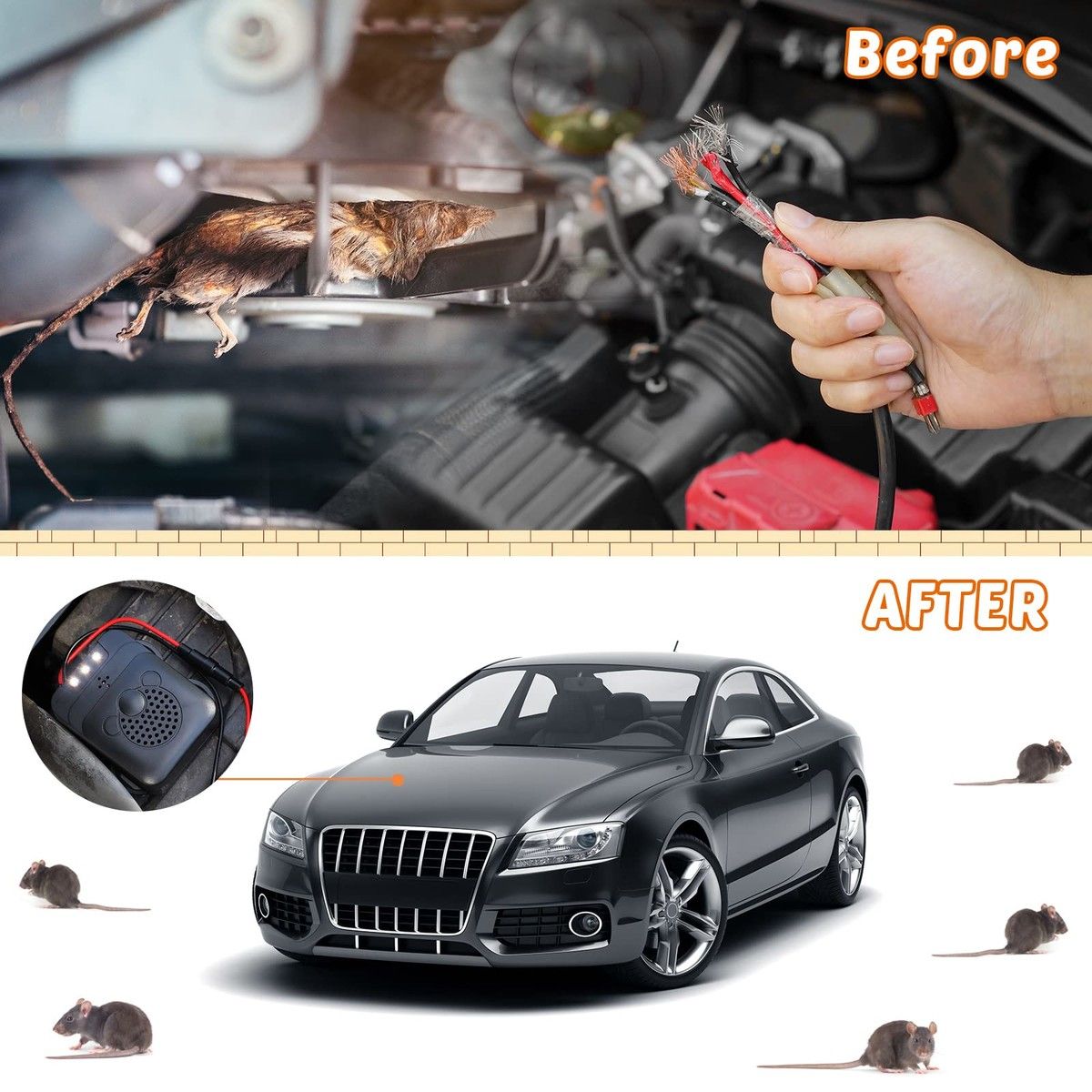 https://img.bestdeals.co.nz/products_pictures/627/62707_590143_F.jpg