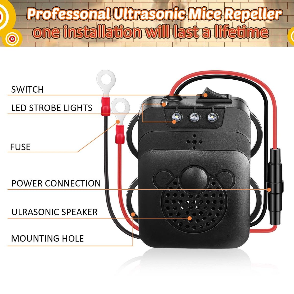 https://img.bestdeals.co.nz/products_pictures/627/62707_590149_F.jpg