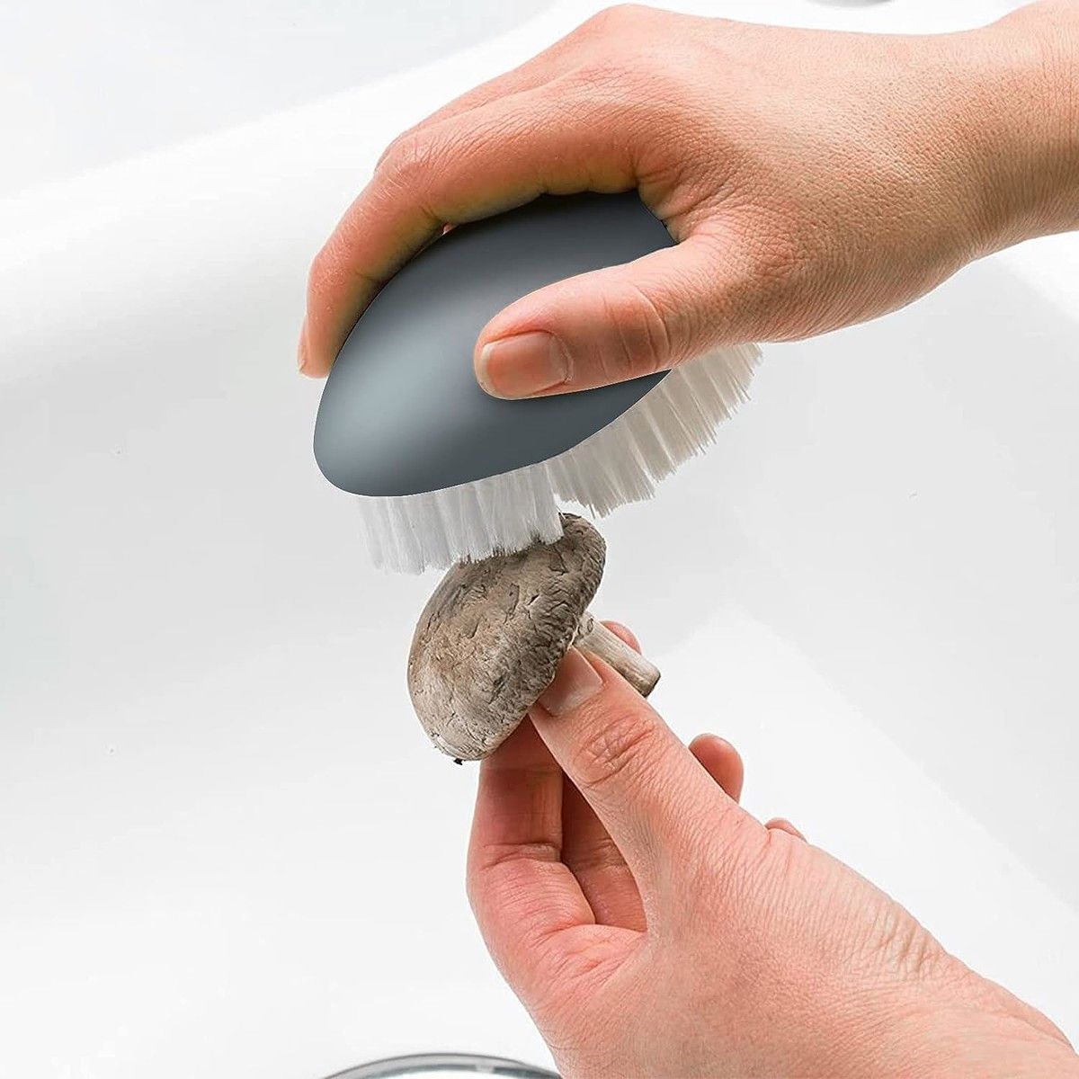 https://img.bestdeals.co.nz/products_pictures/628/62842_591319_F.jpg