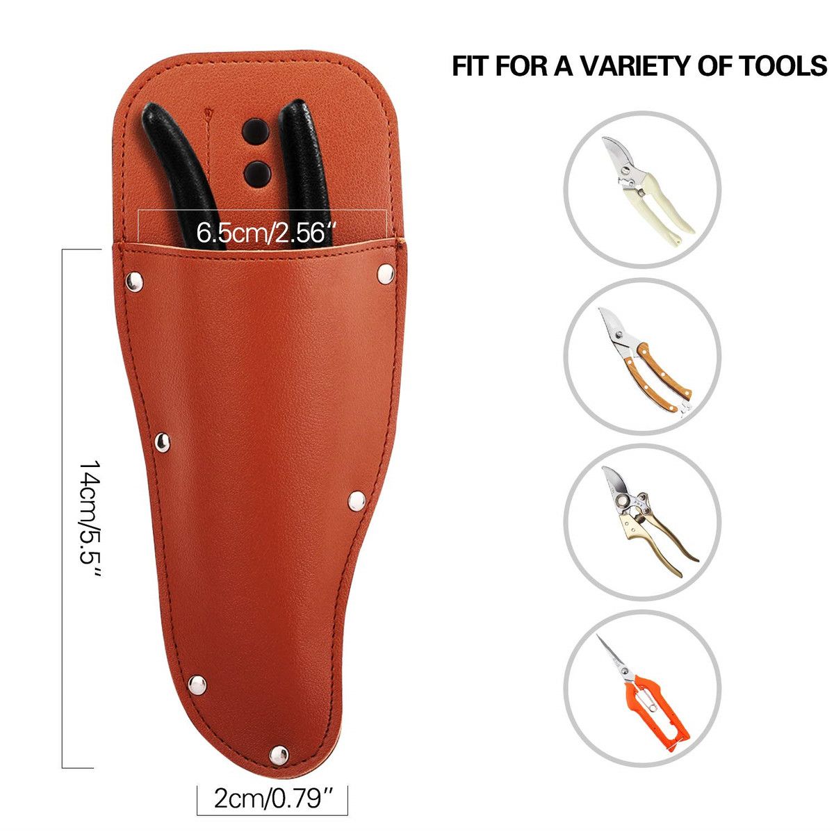https://img.bestdeals.co.nz/products_pictures/629/62910_592002_F.jpg