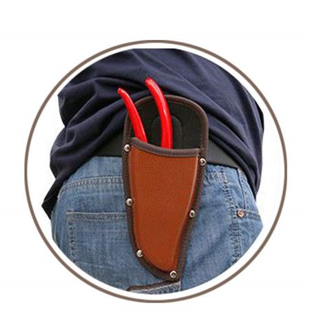https://img.bestdeals.co.nz/products_pictures/629/62911_592012_F.jpg