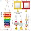 6 Packs Chicken Toys, Chicken Xylophone hens, Chicken Mirror Toys, Chicken Ladders Swing Toys and Vegetable Hanging Feeder Chicken Coop Accessories