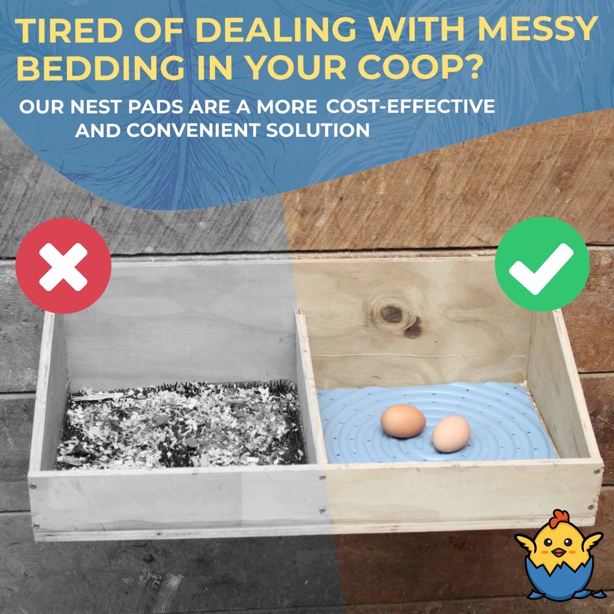 https://img.bestdeals.co.nz/products_pictures/630/63098_594007_F.jpg