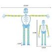 8PCS Skeleton Fidget Toys,Finger Sensory Toys Fluorescent,Decompress Skeleton Man,Toys for Stress Relief,Party Bag Fillers,Party Favours