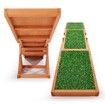 Petscene Pet Seesaw Dog Obedience Training Puppy Sports Agility Outdoor Play Exercise Equipment Teeter Totter Wooden Artificial Grass