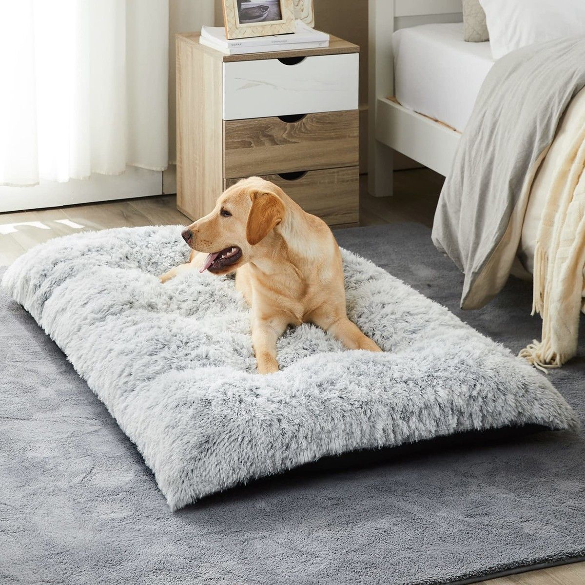 Dog Plush Dog Crate Bed Fluffy Cozy Kennel Pad for Sleeping Washable Dog Mats with Anti-Slip Bottom for Small Dogs(50*6.5*35cm)