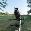 Weather Vane Owl Stainless Steel Weathervane Black Spray Paint Weathercock for Outdoor Sheds