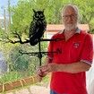 Weather Vane Owl Stainless Steel Weathervane Black Spray Paint Weathercock for Outdoor Sheds
