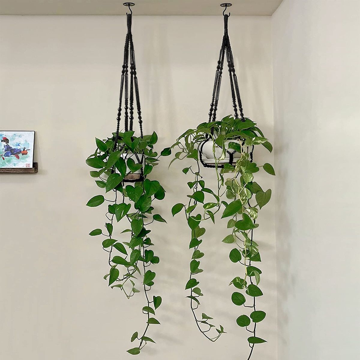 https://img.bestdeals.co.nz/products_pictures/633/63353_597575_F.jpg