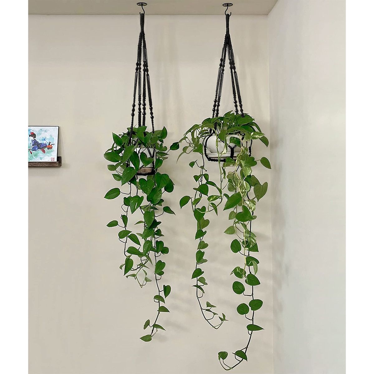 https://img.bestdeals.co.nz/products_pictures/633/63357_597607_F.jpg