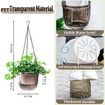 2 Pack Self Watering Hanging Planters Indoor Flower Pots,6.5 Inch Outdoor Hanging Basket,Plant Hanger with 3Hooks Drainage Holes for Garden Home (Grey)