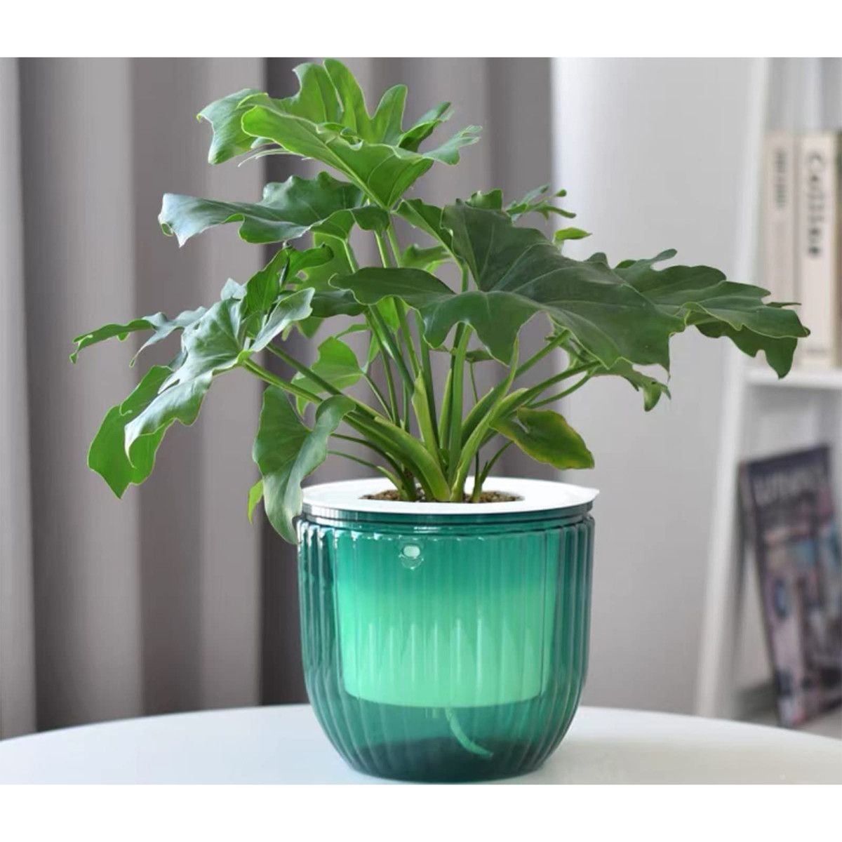 https://img.bestdeals.co.nz/products_pictures/633/63371_597872_F.jpg