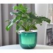 2 Pack Self Watering Hanging Planters Indoor Flower Pots,6.5 Inch Outdoor Hanging Basket,Plant Hanger with 3Hooks Drainage Holes for Garden Home (Emerald)