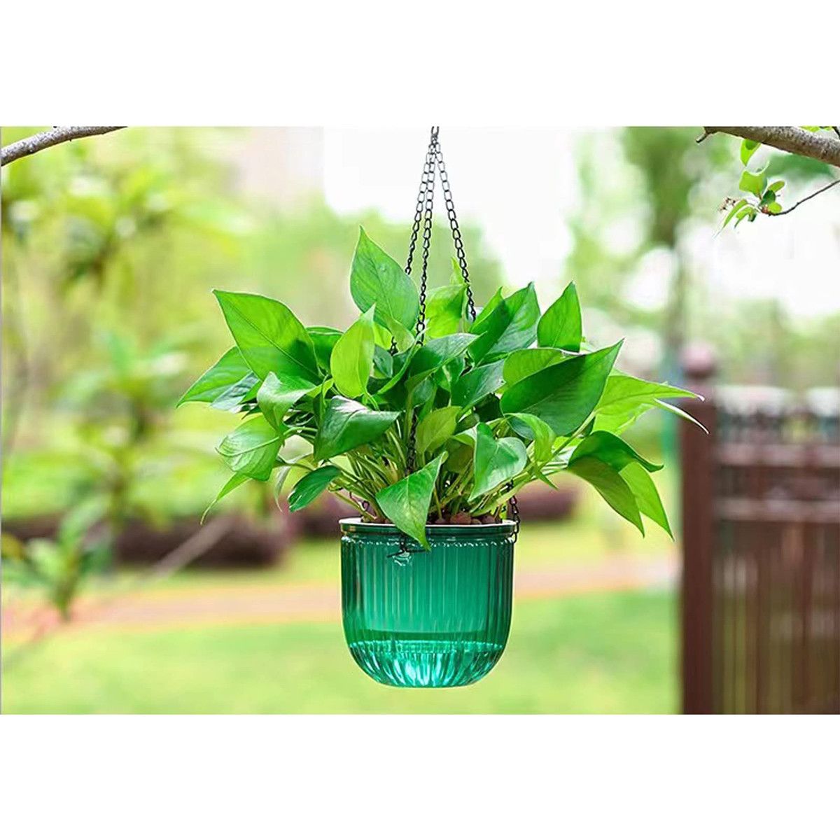 https://img.bestdeals.co.nz/products_pictures/633/63371_597873_F.jpg