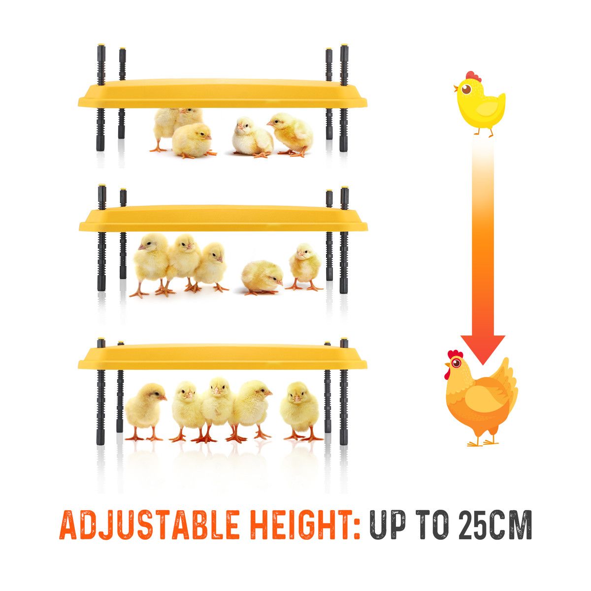 https://img.bestdeals.co.nz/products_pictures/636/63638_601534_F.jpg
