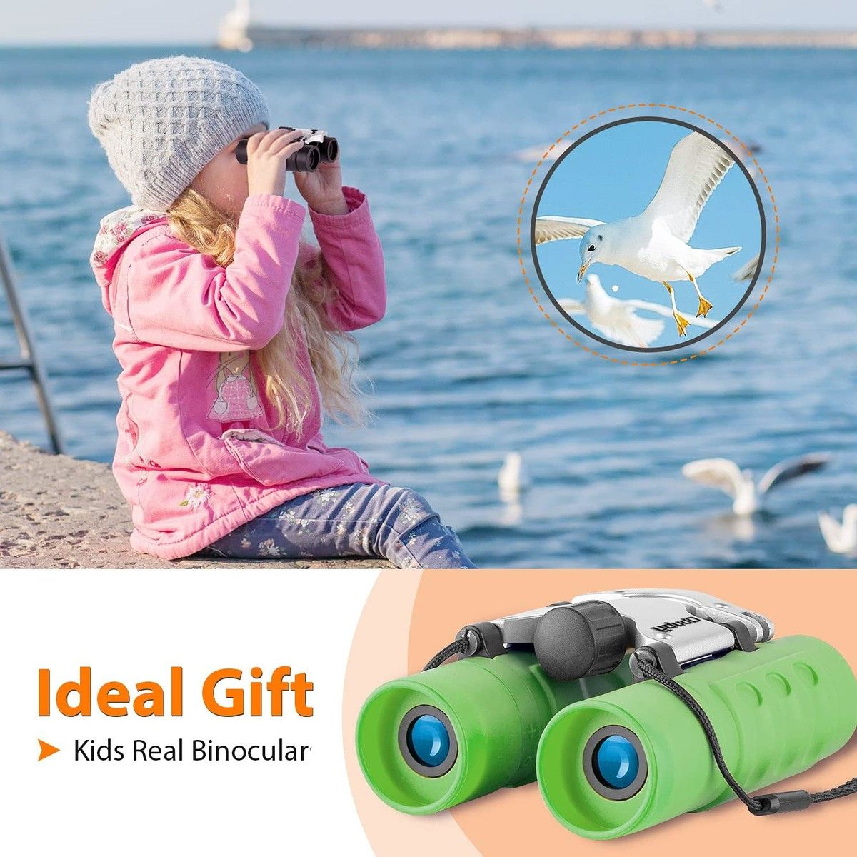 https://img.bestdeals.co.nz/products_pictures/637/63732_602622_F.jpg