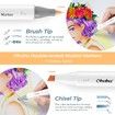 Markers Brush Tip Double Tipped Art Alcohol Marker Set for Artist kids Adults Coloring Sketching Drawing Illustrations 60 Colors