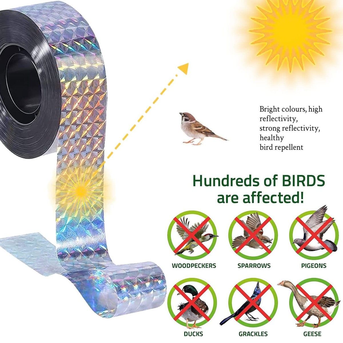 https://img.bestdeals.co.nz/products_pictures/638/63834_603779_F.jpg