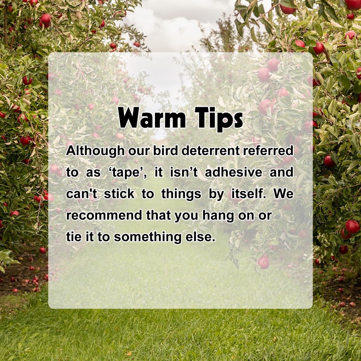 https://img.bestdeals.co.nz/products_pictures/638/63834_603781_F.jpg