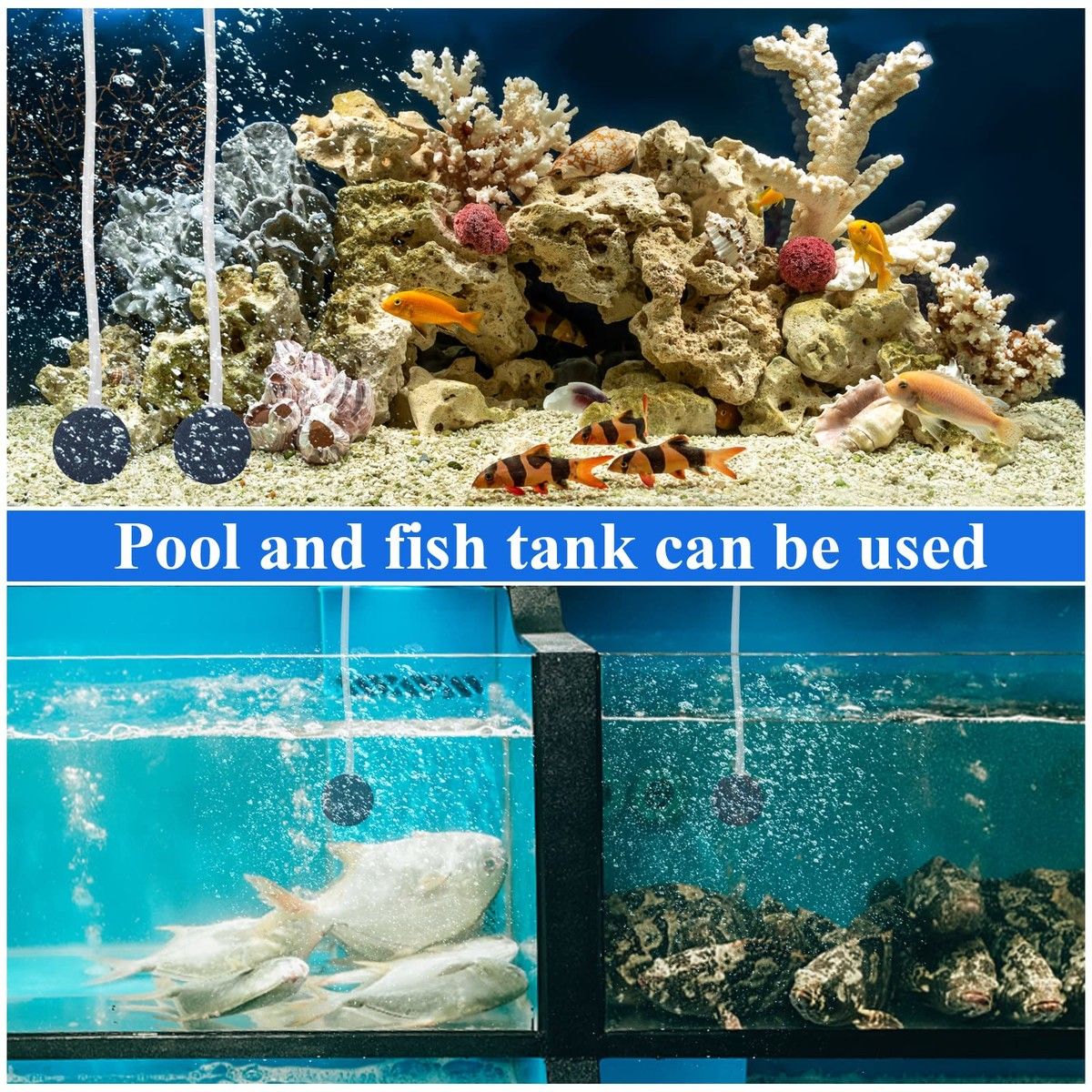 https://img.bestdeals.co.nz/products_pictures/638/63838_603834_F.jpg