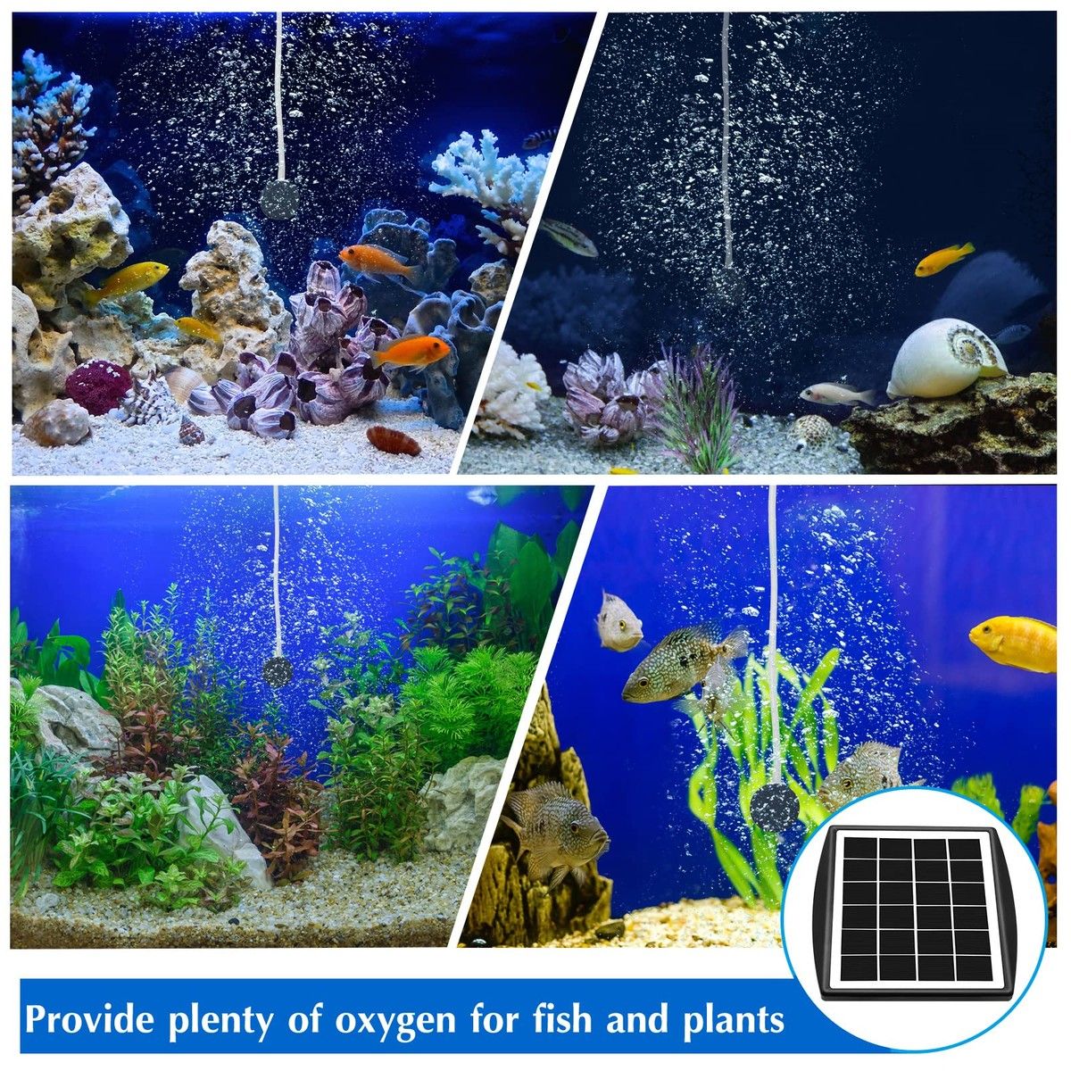 https://img.bestdeals.co.nz/products_pictures/638/63838_603836_F.jpg