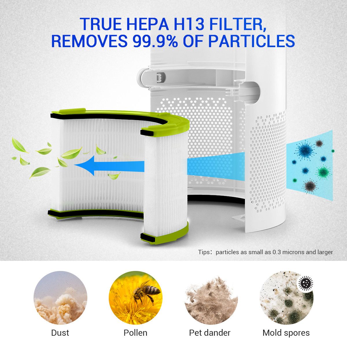 https://img.bestdeals.co.nz/products_pictures/638/63850_604013_F.jpg