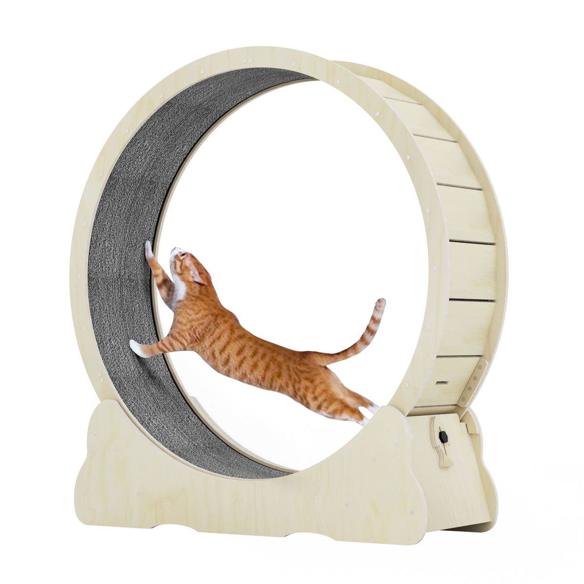 https://img.bestdeals.co.nz/products_pictures/638/63862_604200_F.jpg