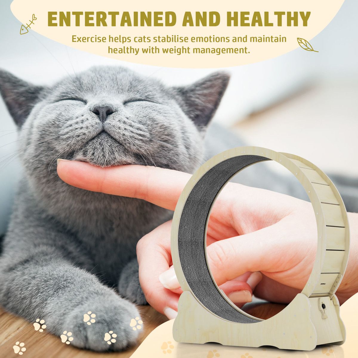 https://img.bestdeals.co.nz/products_pictures/638/63862_604210_F.jpg