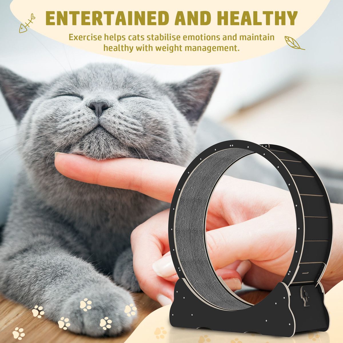 https://img.bestdeals.co.nz/products_pictures/638/63863_604232_F.jpg