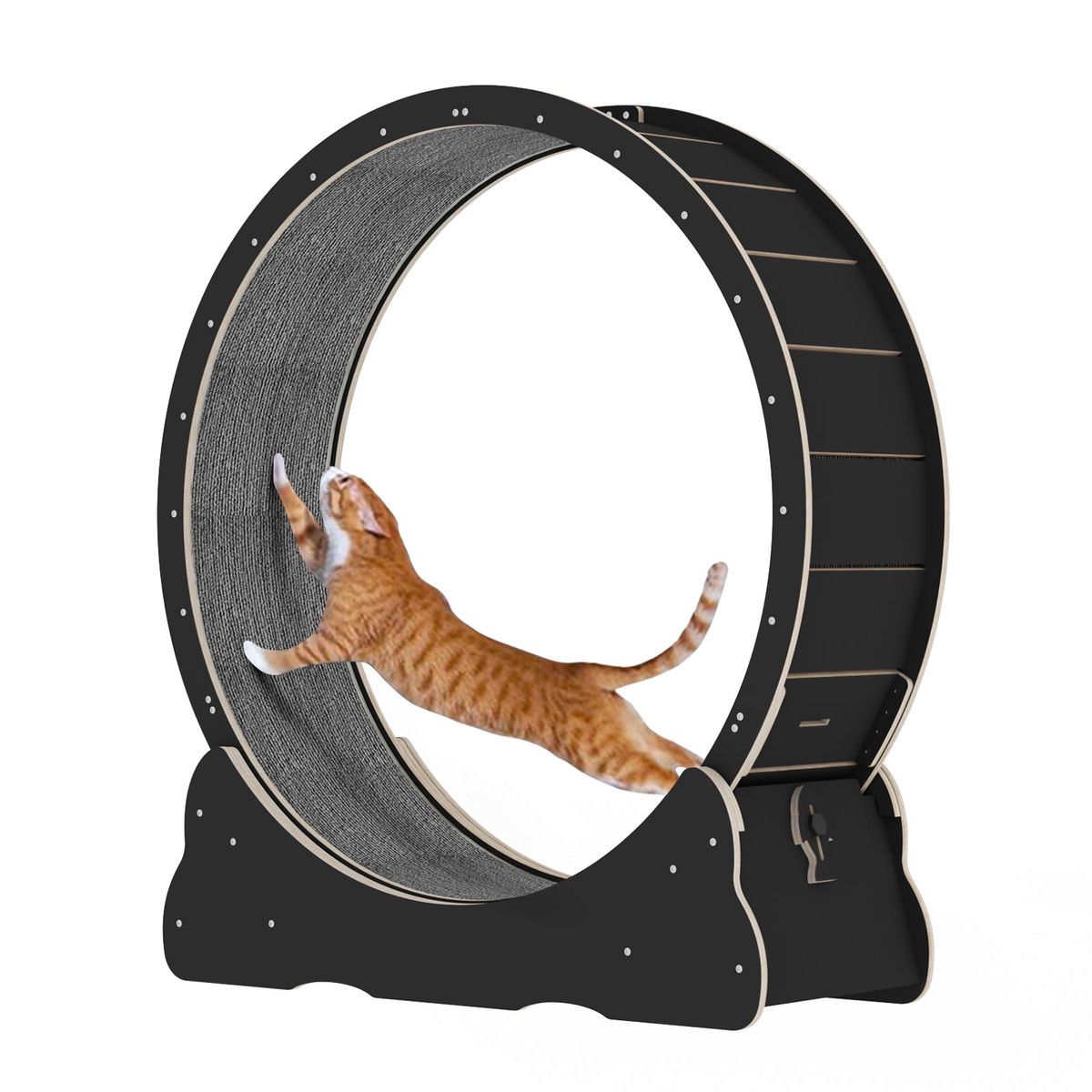 https://img.bestdeals.co.nz/products_pictures/638/63863_604235_F.jpg