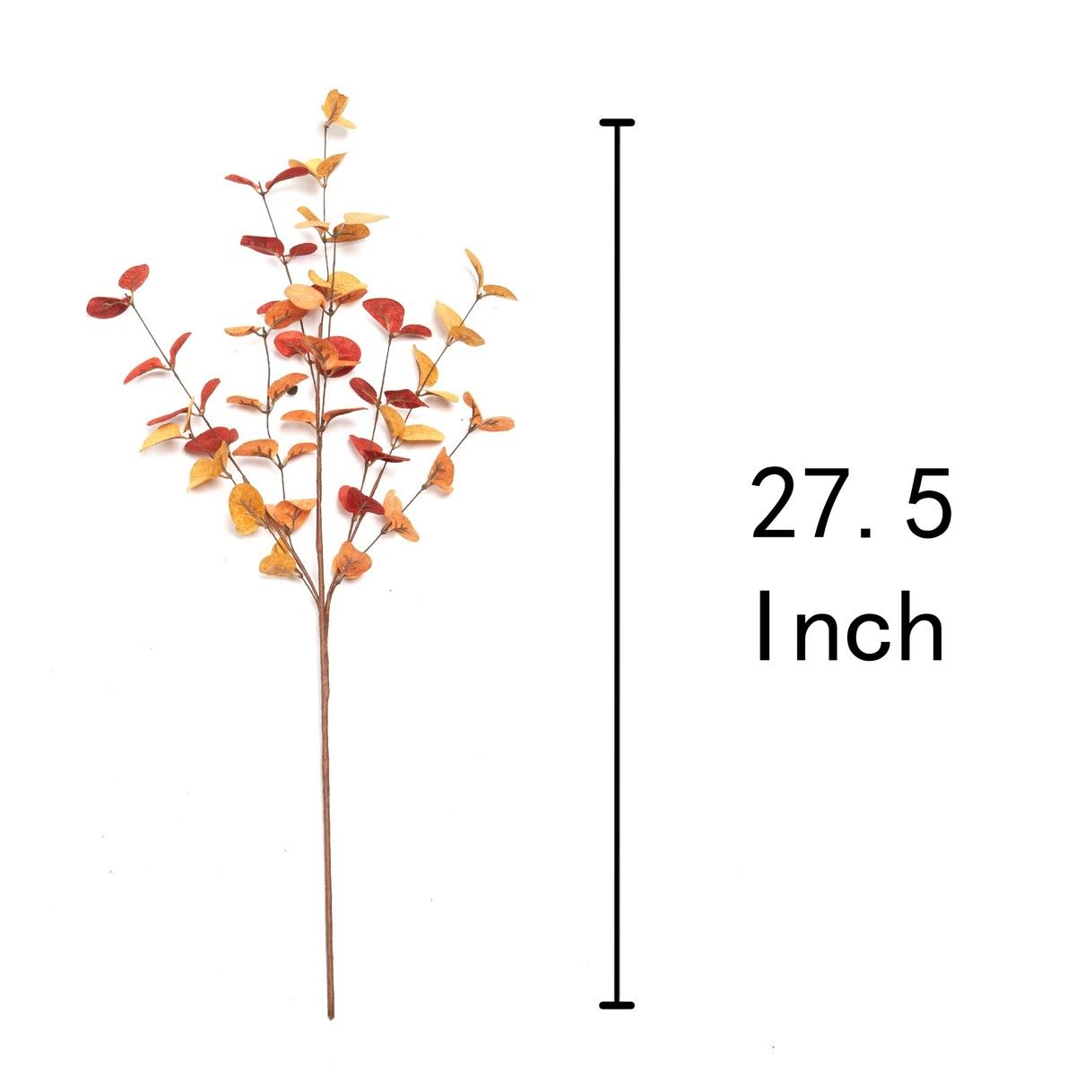 https://img.bestdeals.co.nz/products_pictures/639/63911_604968_F.jpg