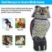 Owl Decoy to Scare Birds Squirrels,Upgraded Plastic Owl Decoy to Scare Birds Away,Motion Activated Owl Decoy with 360 Rotating Head,Garden Owls to Frighten Birds for Outdoor Garden Yard