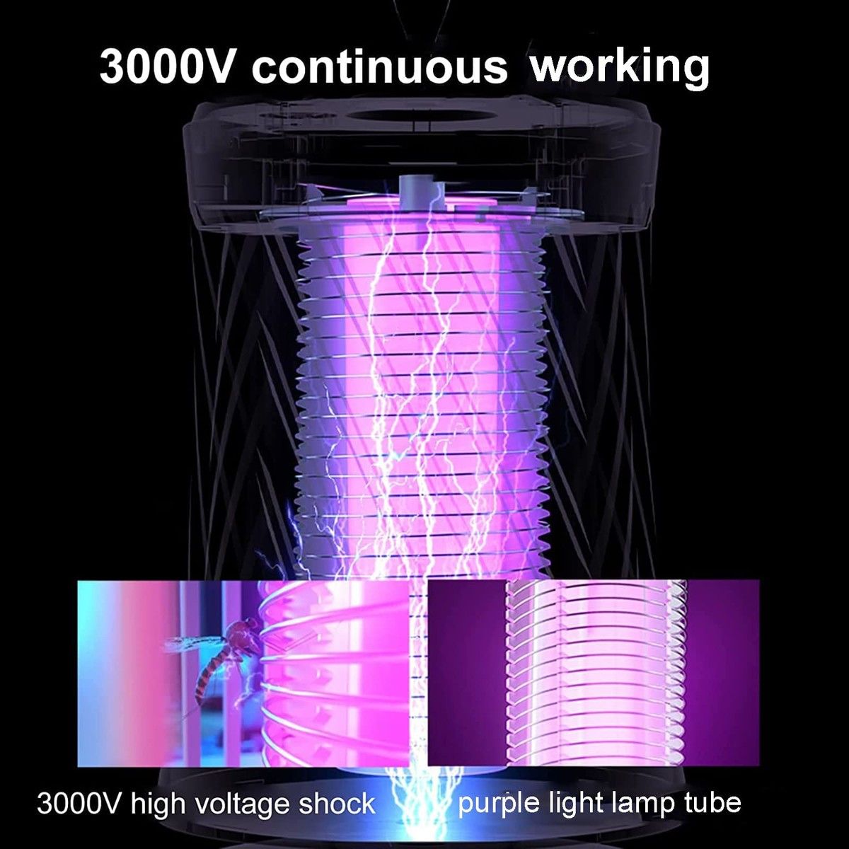 https://img.bestdeals.co.nz/products_pictures/641/64184_608085_F.jpg
