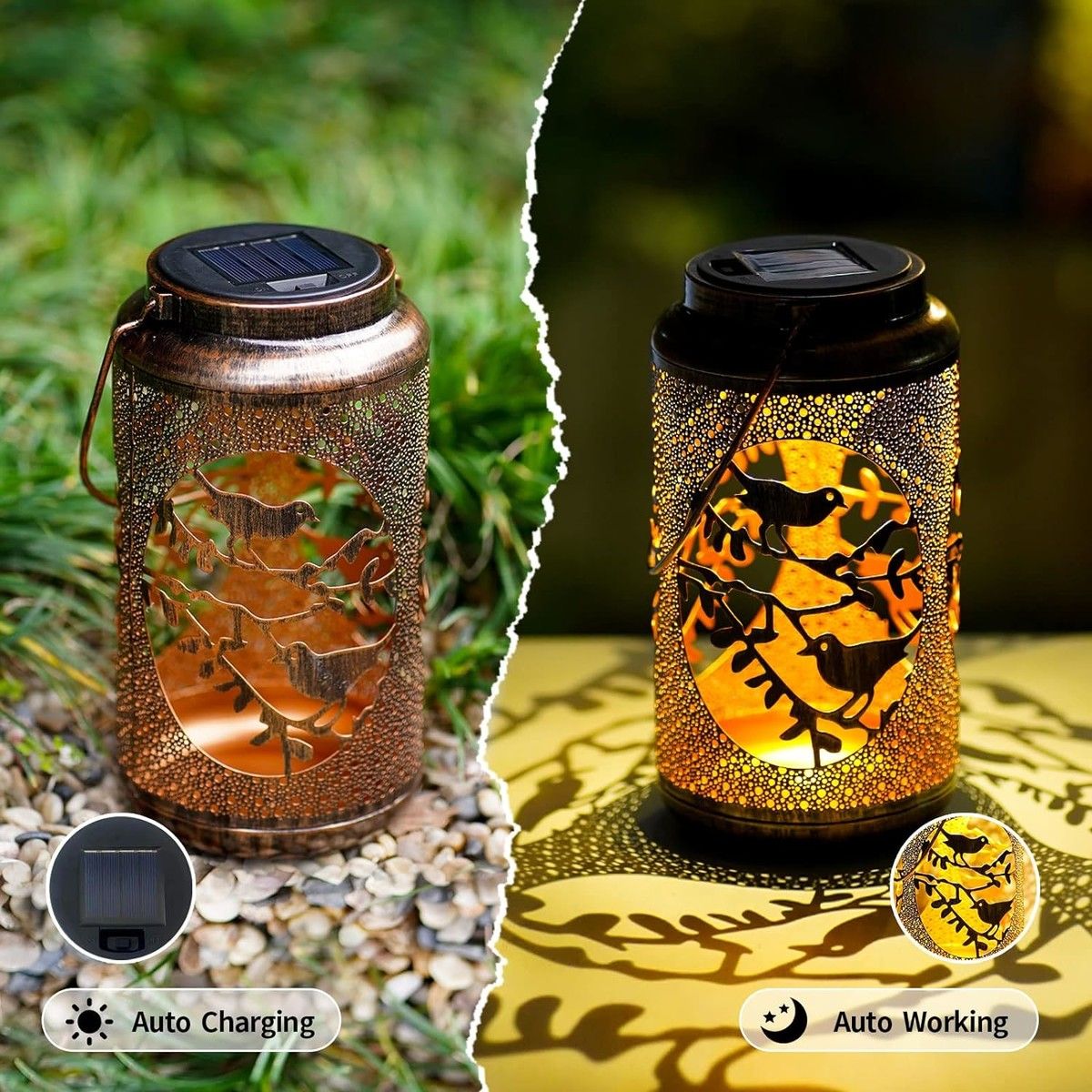 https://img.bestdeals.co.nz/products_pictures/643/64322_609508_F.jpg