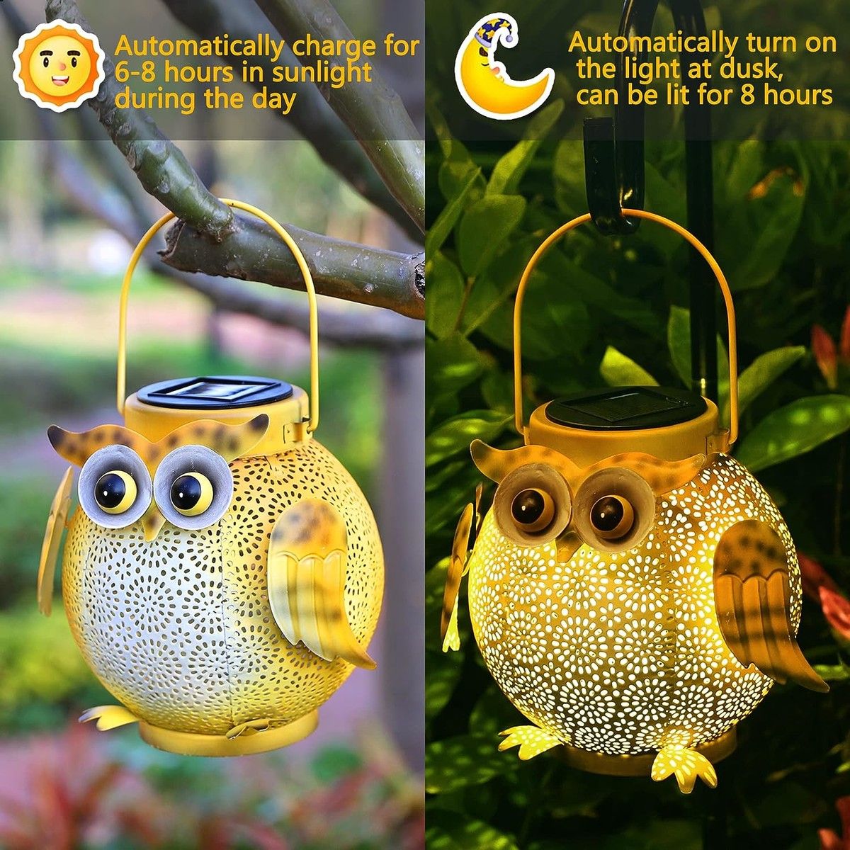 https://img.bestdeals.co.nz/products_pictures/643/64326_609534_F.jpg