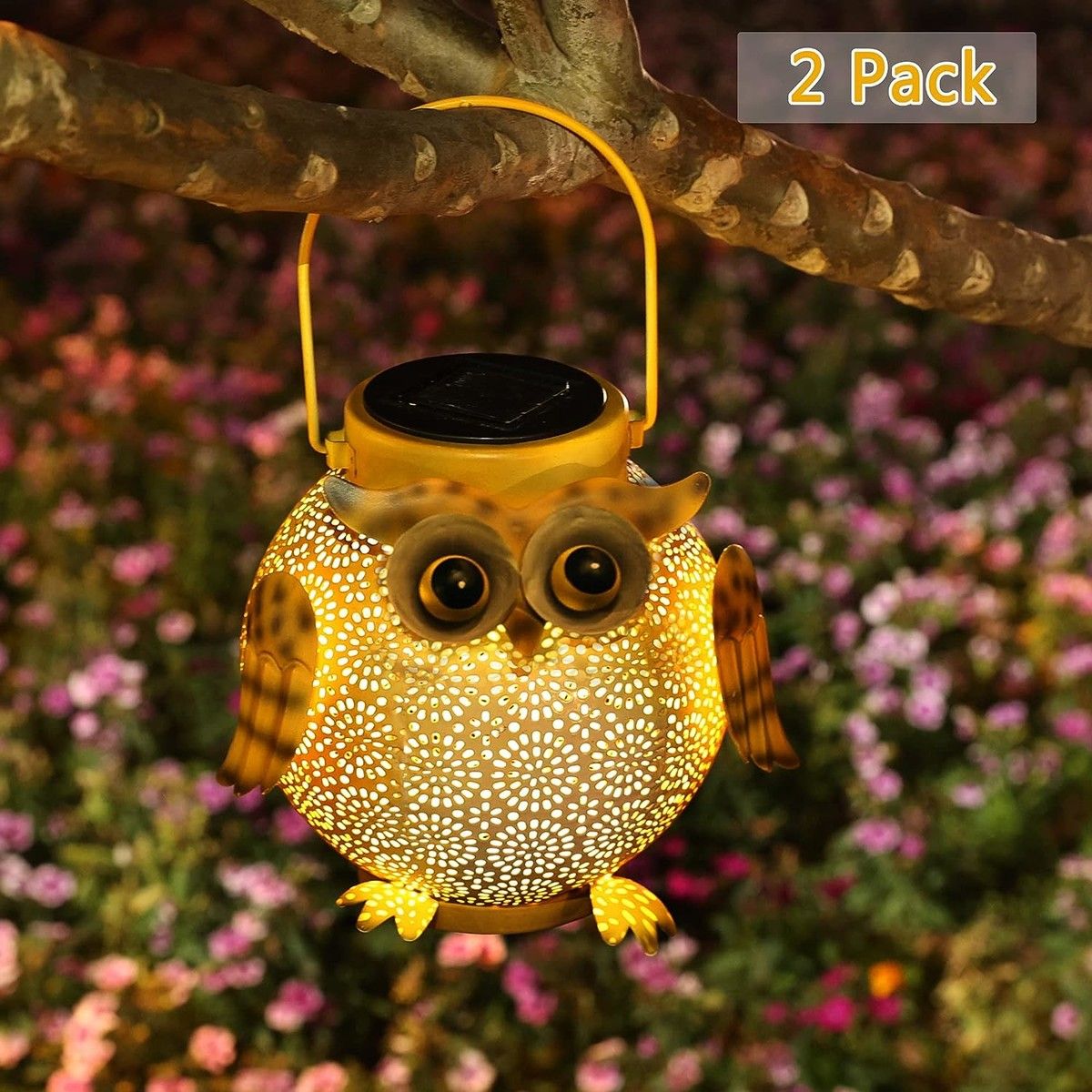 https://img.bestdeals.co.nz/products_pictures/643/64326_609535_F.jpg