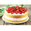 2Pcs Baking Adjustable 2-Wire Layer Cake Cutter and Leveler, Stainless Steel,Silver