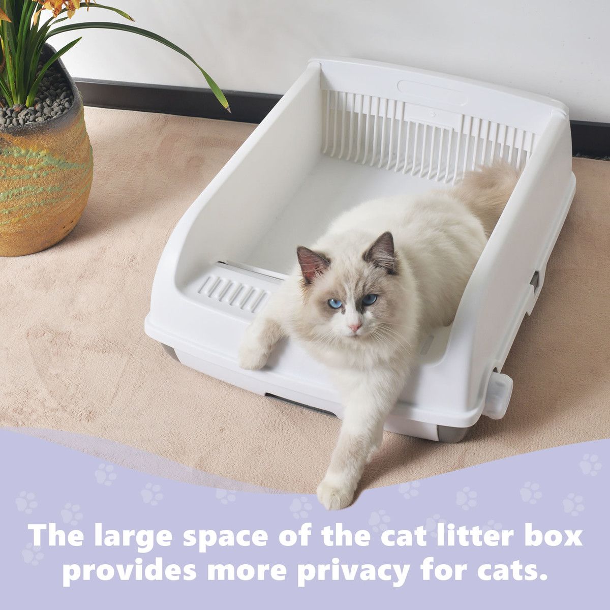 https://img.bestdeals.co.nz/products_pictures/646/64605_612340_F.jpg