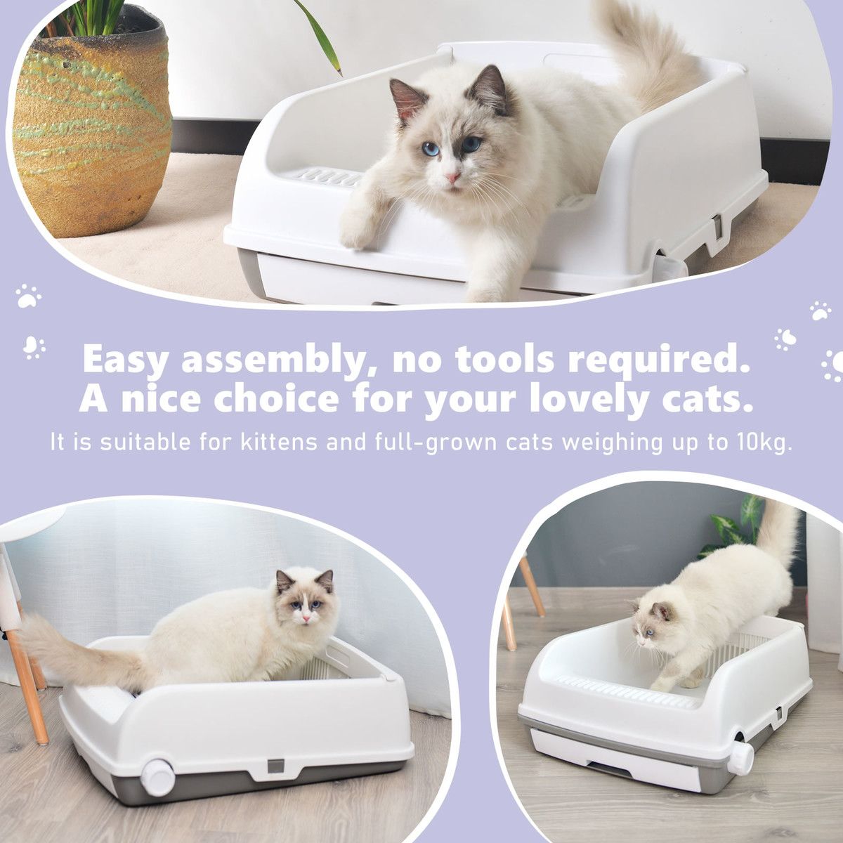 https://img.bestdeals.co.nz/products_pictures/646/64605_612342_F.jpg